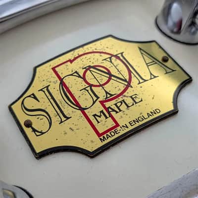 Used Premier Signia Maple Snare Drum 14x5 Piano White - Very Good image 7