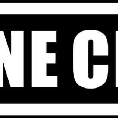 Tone City TC-T11 Angel Wing Chorus Boss C2 Style Effect Pedal + Mooer PDC-3L Cable USA Ships Free image 8