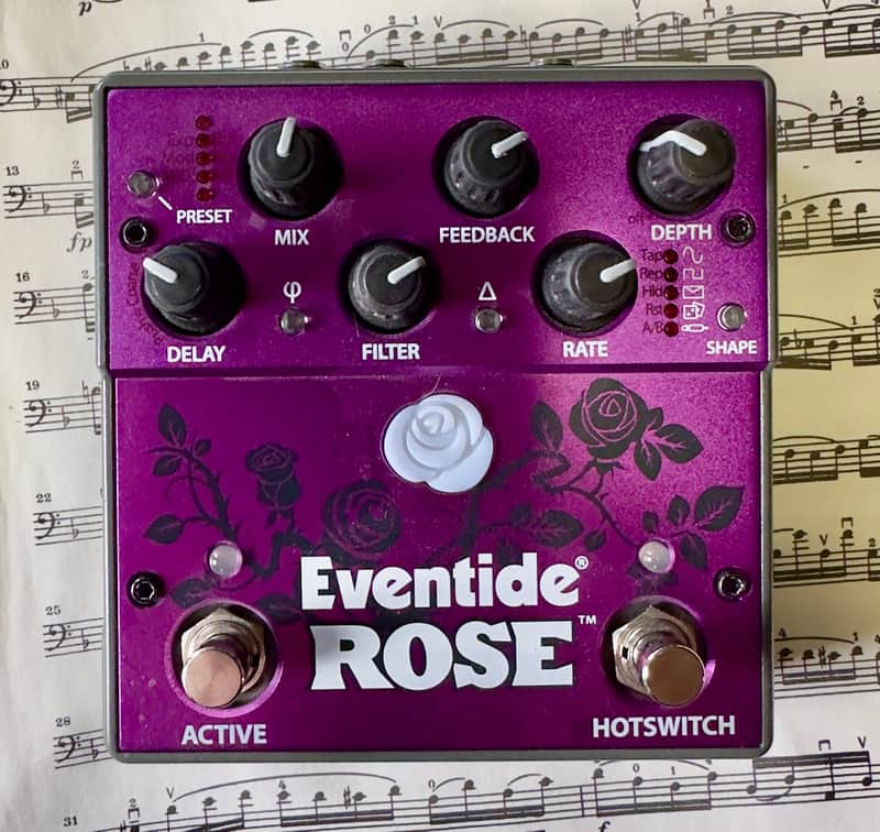 Eventide Rose