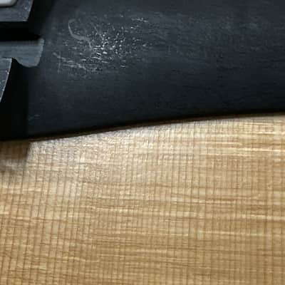 Taylor 214ce-N #55525 (NAMM 2026) image 8