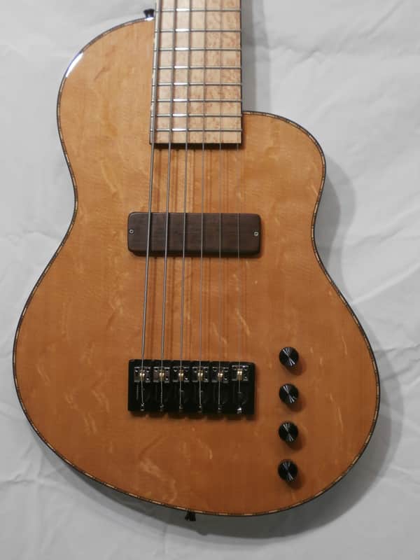 Rick Turner RB6-CST #13-3216, 6 String Bass Guitar image 1