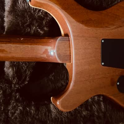 PRS Very Unique Paul’s Guitar with Bret Mason Bridge PUP 2014 Obsidian image 12