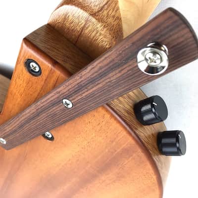 Immagine Rick Turner Renaissance RB4 Studio Special Fretless Bass 2016 Satin Mahogany - 8