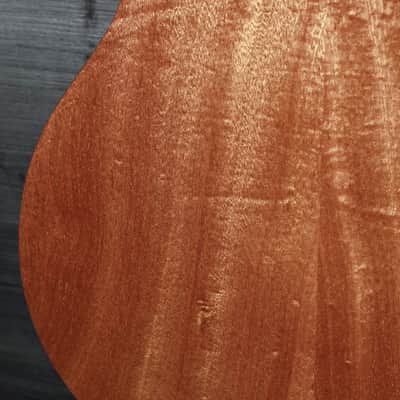 Taylor 314ce Studio Natural Sapele / Torrified Spruce Acoustic-Electric Guitar image 12