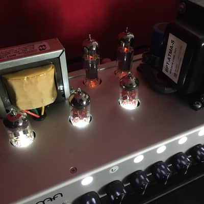 Bogner Atma 2022 - brand new tubes image 10