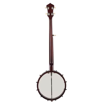 Recording King Dirty 30s Open Back Banjo image 5