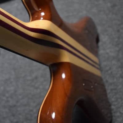 Alembic Dragon Wing 2018 Cocobolo image 11