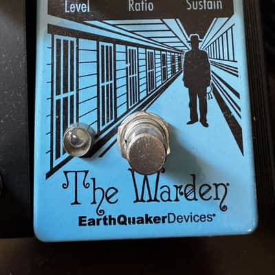 Pro-Level Boutique Pedalboard – Nano Cortex, Nemesis Delay, Walrus Obsidian LTD Slotva, Tubescreamer mini, Keeley image 3
