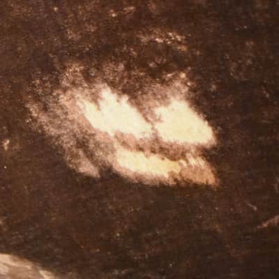 c.1960's Guild Dreadnought Hardshell Case Faux Alligator image 5