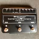 Traynor DH25H QuarterHorse Microamp 25-Watt Stompbox Guitar Amplifier