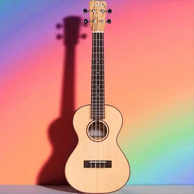 Cordoba 24T Spruce Spalted Maple Tenor Ukulele, Rich Tone & Stunning Looks image 3