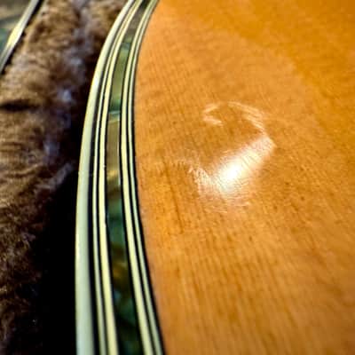 Morris W-65M "Tree of Life" 1970s MIJ Acoustic Natural W/HARD CASE image 14