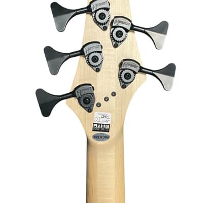 Dingwall Combustion 5  Whalepool Burst / Maple *IN STOCK! image 6