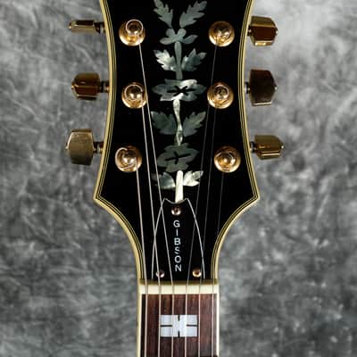 Epiphone Howard Roberts Black Transparent image 8