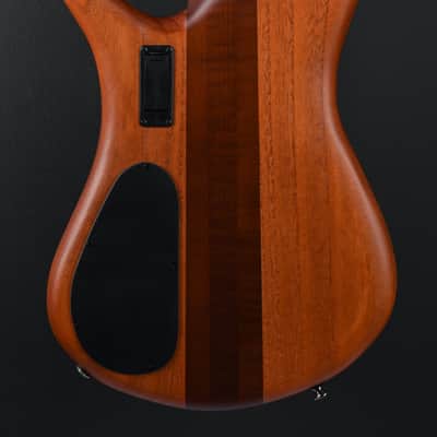Spector Euro 4 RST - Sienna Stain Matte image 5