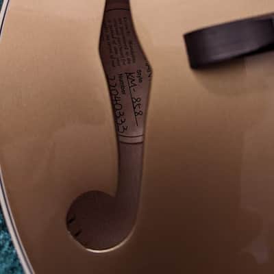 Kentucky KM-858 Gold Top Artist Level Mandolin Package, w/setup, deluxe case, & shipping image 4