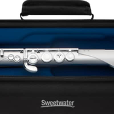 Roland Aerophone Brisa Digital Wind Instrument (AEBRISAd9) image 2