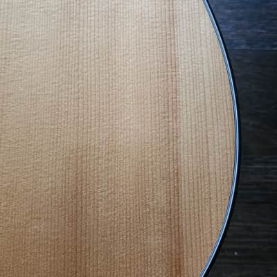 Martin D-18 Custom Shop - Guatemalan Rosewood/High Altitude VTS Swiss Spruce image 3