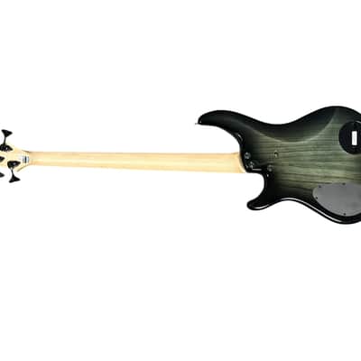 Dingwall Combustion 4 (3 Pup) Blackburst/Maple *In Stock!pppppppppppppppppppppppppppppppppppppppppppp image 7