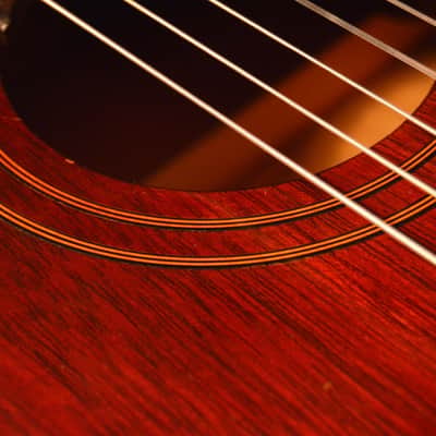 Vintage Favilla 1960's C-5 Overture Classical Guitar image 8