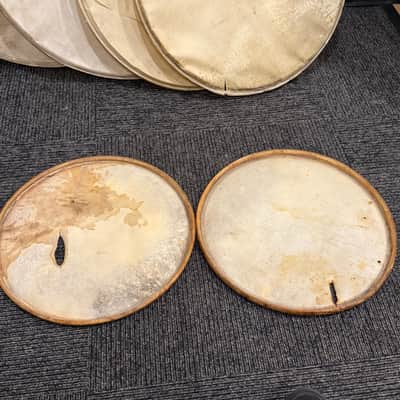 Grouping of Vintage Slingerland Calfskin Heads Pairs of 16", 22", 28" (Rm3) image 6