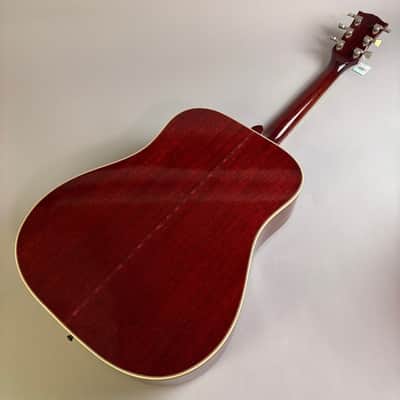 Immagine Gibson Hummingbird Custom - 6