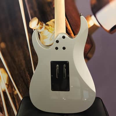 Ibanez RG450DX-CSV Classic Silver E-Guitar, Limited Edition image 8