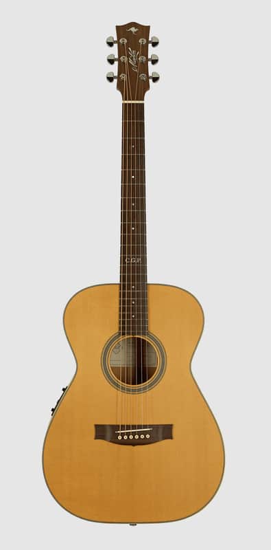 Maton Master Built T.E. PERSONAL Tommy Emmanuel Signature model ( BRAND NEW IN A BOX ) image 1