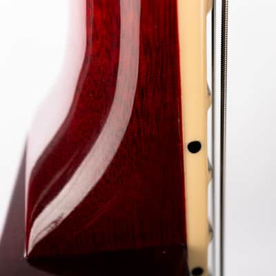 Gibson Les Paul Studio Session, Bourbon Burst | Demo image 13