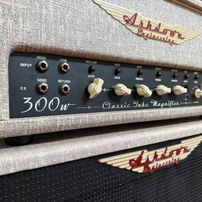 Ashdown CTM 300 (EX Nate Mendel Foo Fighters) & 6x10 Cabinet image 2