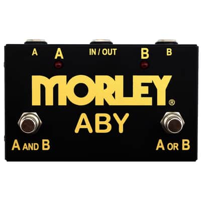 ABY Gold Morley image 2