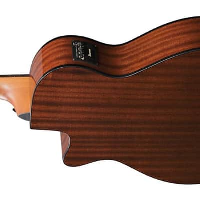 Ibanez Aegb25 Etkh image 2