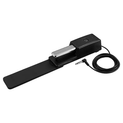 DP-10 Roland image 4