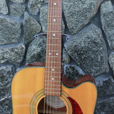 Fender DG20CE NAT Acoustic/Electric Guitar w/ Fishman Pickup | Reverb