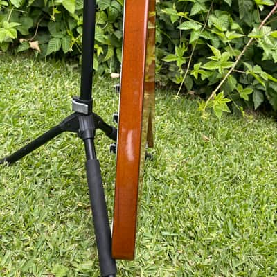 Gibson Limited Edition Flying V 2001 image 6