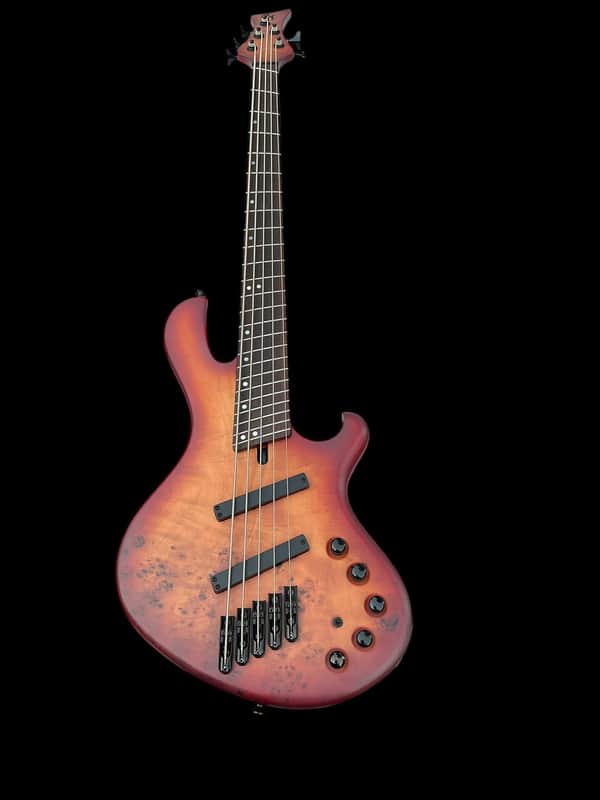 Maruszczyk Frog 5A Multiscale New - Maruszczyk Dealer