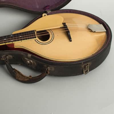 Gibson Style A-3 Carved Top Mandolin (1918), ser. #50920, original black hard shell case. image 12