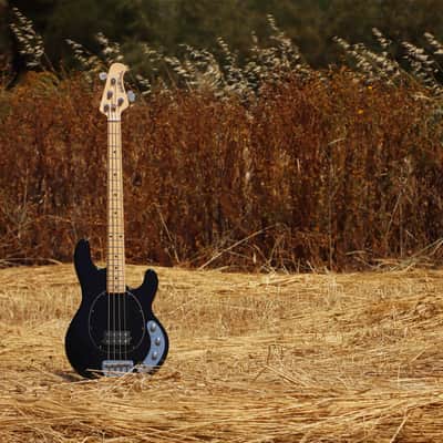 Ernie Ball Music Man StingRay 4 2EQ H 2014 đź–¤ image 20