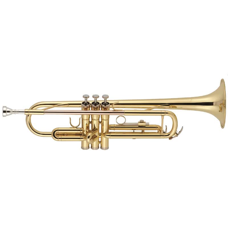 Stentor J Michael TR Bb Professional Trumpet Outfit Gold Lacq…