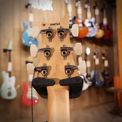PRS CE24 Carroll Blue - Carroll Blue image 12