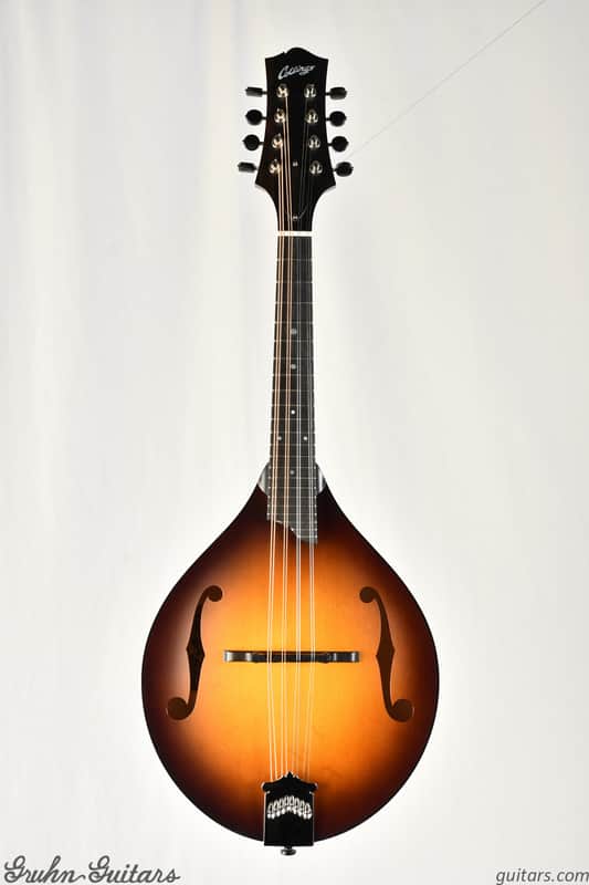 Immagine Collings MT Mandolin - 1