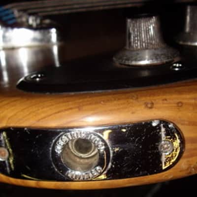 Wal Pro Bass 1979 Natural 1 pickup RARE image 19