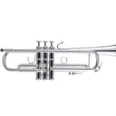 Bach Stradivarius LR180S-37 Professional Bb Trumpet Outfit Reverse Leadpipe