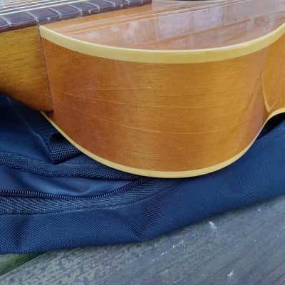 Vintage Circa 1967 Mosrite Serenade Acoustic Guitar Project w/ Gig Bag! image 18