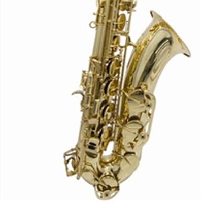 Oxford  I-TS-B Tenor Saxophone w/Hardshell Case, Mouthpiece & Reed image 1