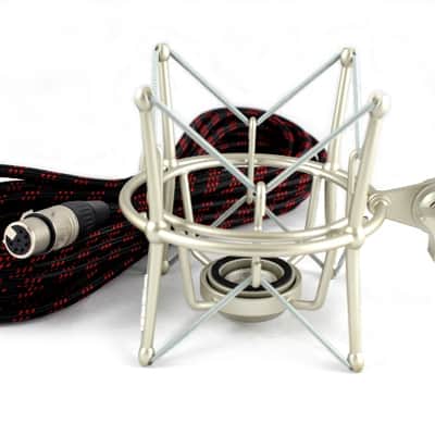 iSK TRM-11 MK2 (2B Beauty - in the USA) Tube Condenser Microphone with Psvane Tube image 4