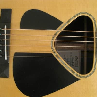 Martin Baritone Pete Seeger JSO! Singout 60th Anniversary Custom Artist Edition (6-string) #2! image 7