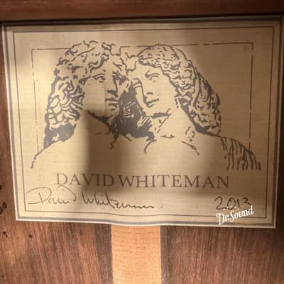 David Whiteman Cutaway 14-Fret Joint Classical Guitar Spruce/Rosewood (Doctor Sound Stock Item) 2013 image 10