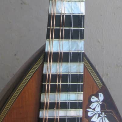Calace Mandolin 1905 - Natural image 4