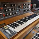 Moog Minimoog Model D *Early 70s! Serial 17** / fully serviced*